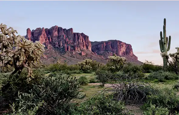 View of Lost Dutchman State Park